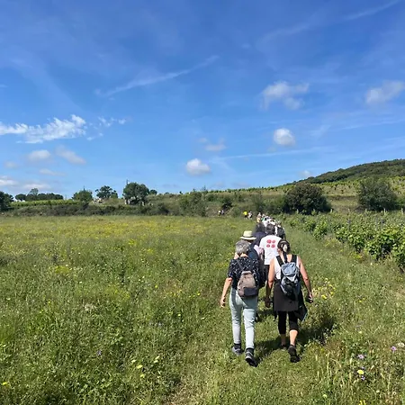 Bijoux Apartment Laurens